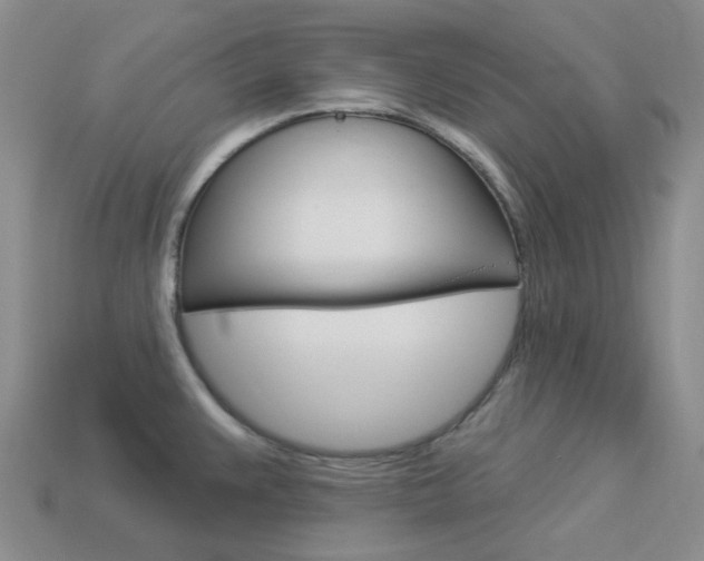 X0000114101383200910051221