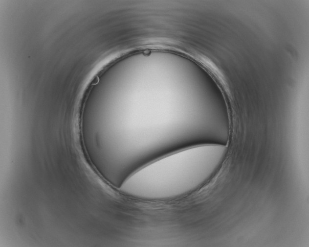 X0000114101384200910051221