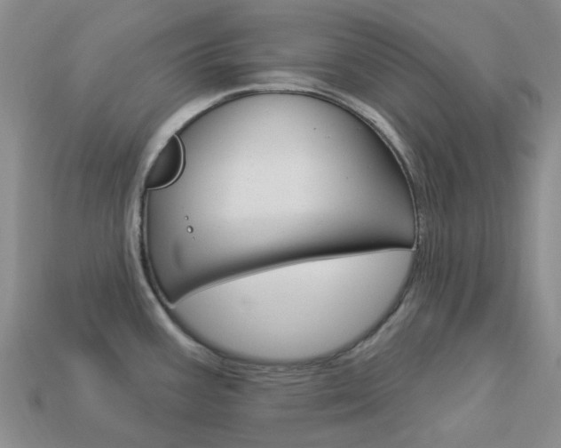 X0000114101387200910051221