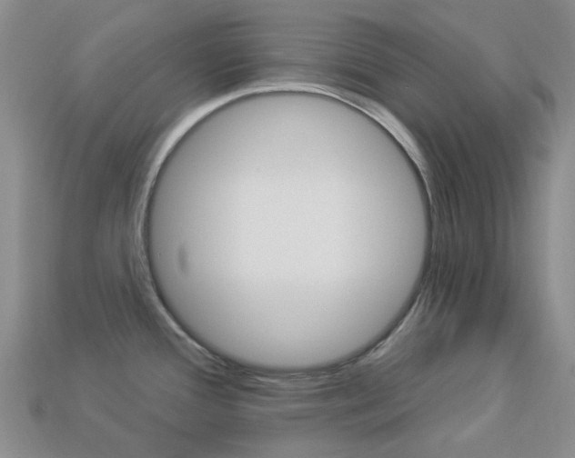 X0000114101388200910051221