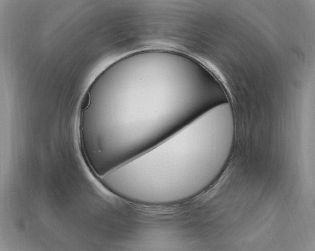 X0000114101391200910051221