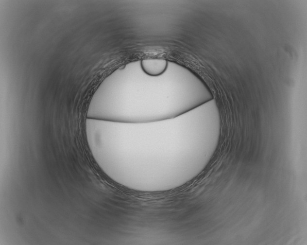 X0000114101394200910051221