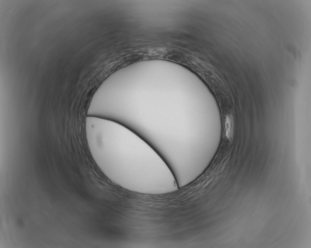 X0000114101395200910051221