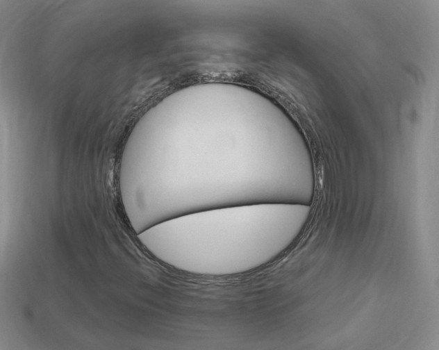 X0000114101396200910051221