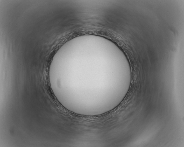 X0000114101397200910051221