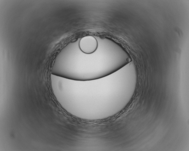 X0000114101398200910051221
