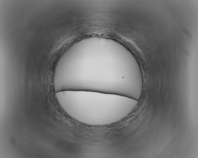 X0000114101399200910051221