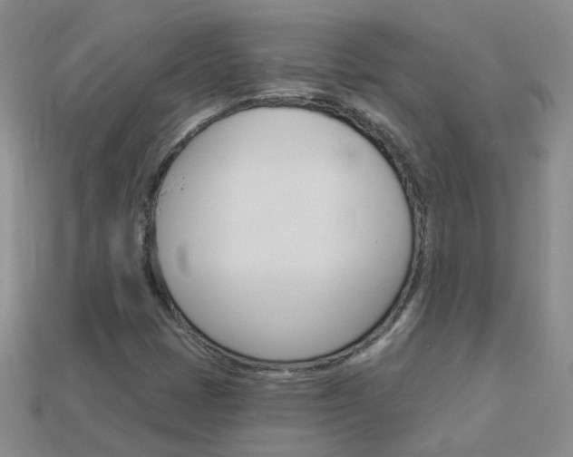 X0000114101401200910051221