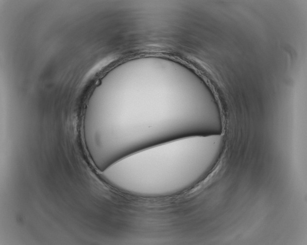 X0000114101402200910051221