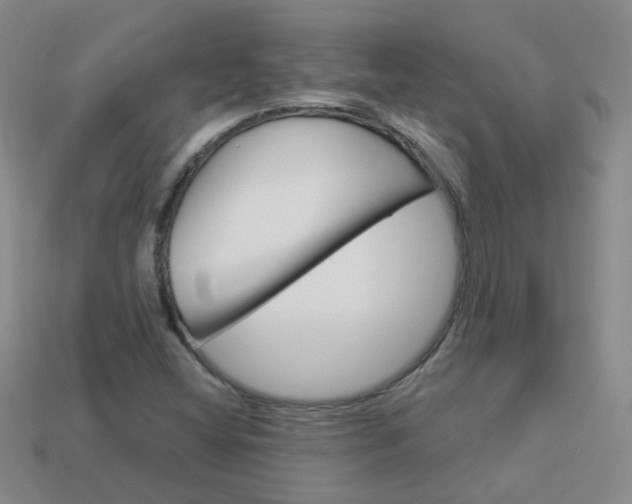 X0000114101404200910051221