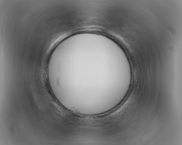 X0000114101405200910051221