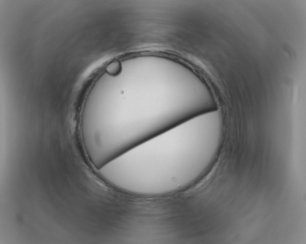 X0000114101406200910051221