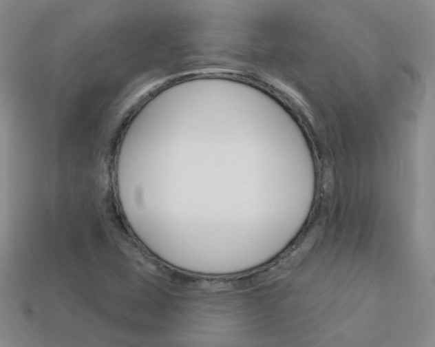 X0000114101407200910051221