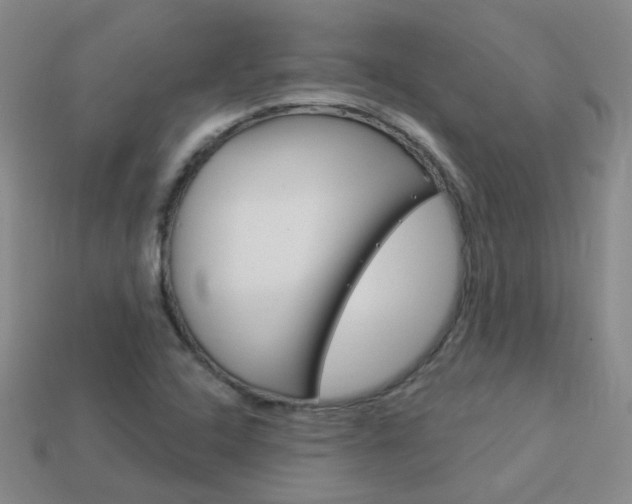 X0000114101408200910051221