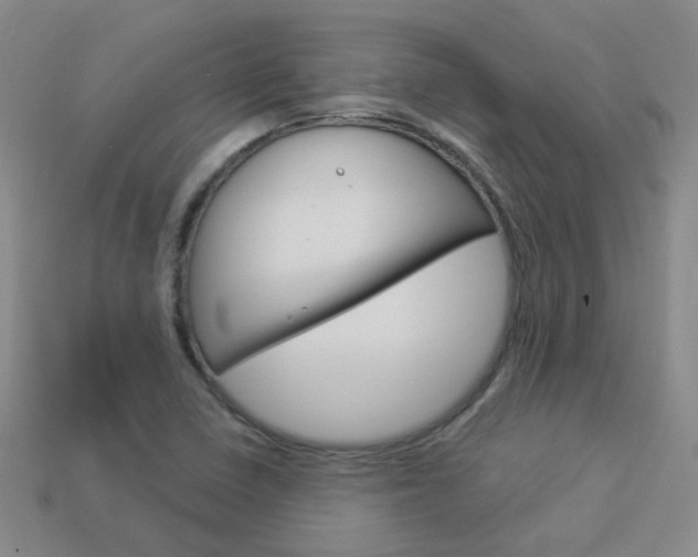 X0000114101410200910051221