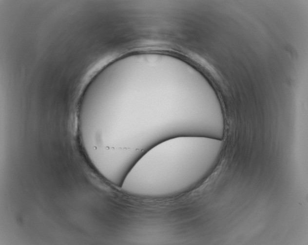X0000114101413200910051221