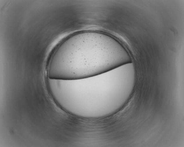 X0000114101414200910051221