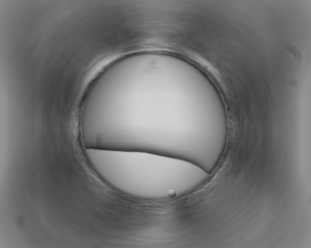 X0000114101415200910051221