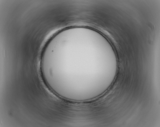 X0000114101416200910051221