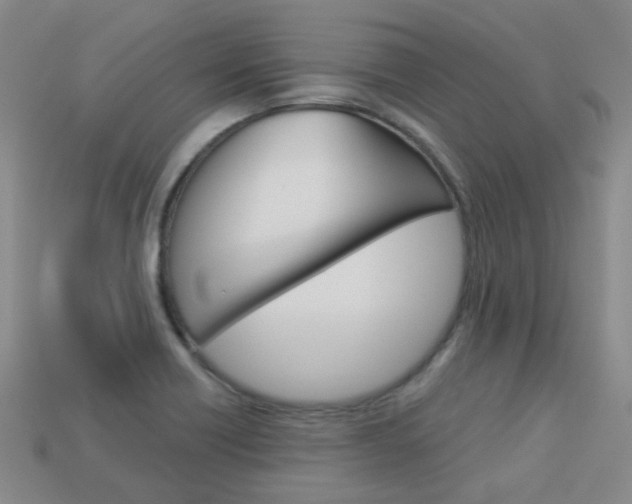 X0000114101418200910051221