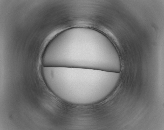 X0000114101419200910051221