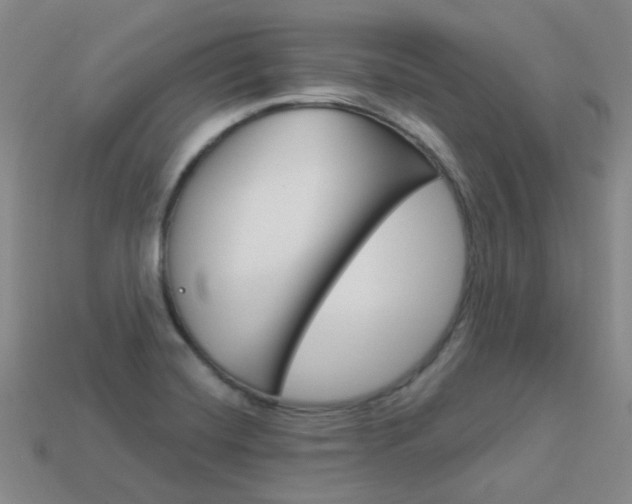 X0000114101420200910051221