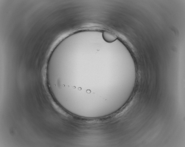 X0000114101421200910051221