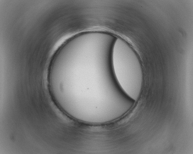 X0000114101422200910051221