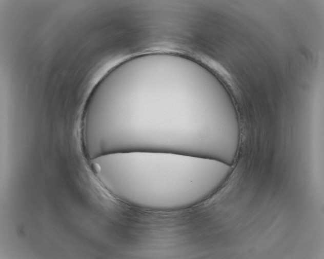 X0000114101423200910051221