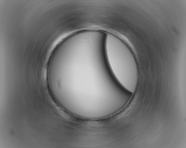 X0000114101424200910051221