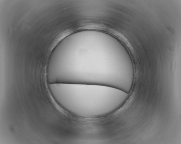 X0000114101425200910051221