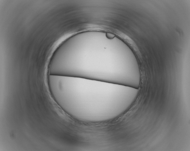 X0000114101427200910051221