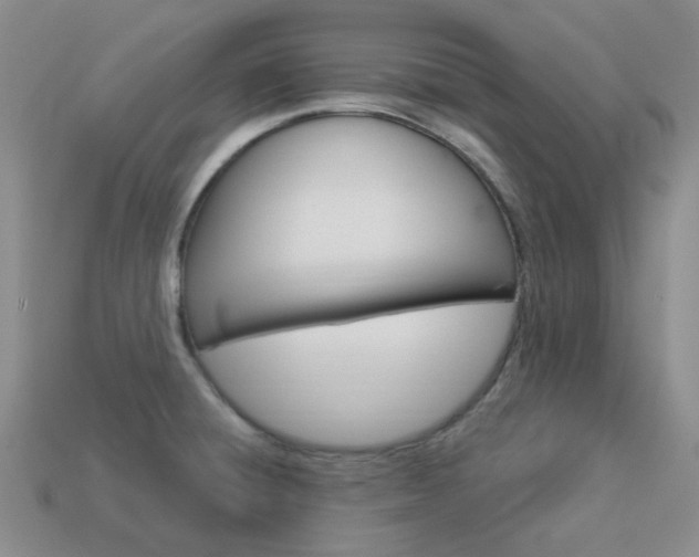 X0000114101428200910051221