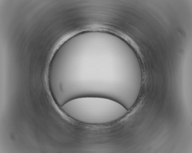 X0000114101429200910051221