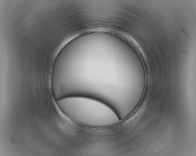 X0000114101433200910051221