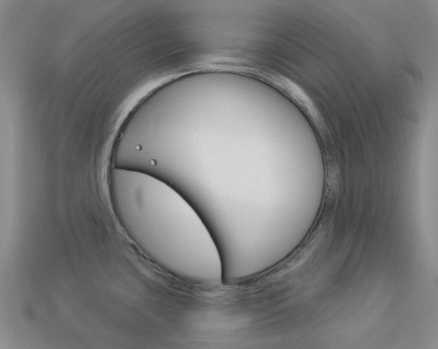X0000114101435200910051221