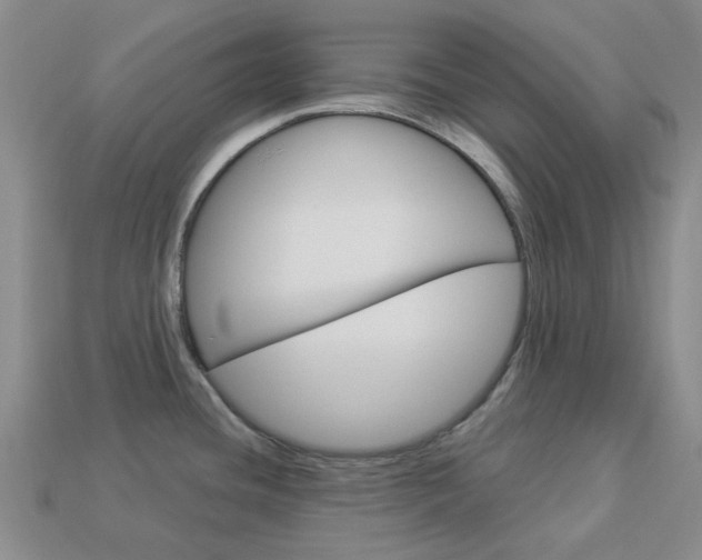 X0000114101436200910051221