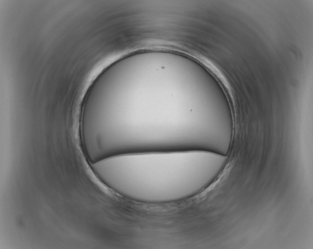 X0000114101437200910051221