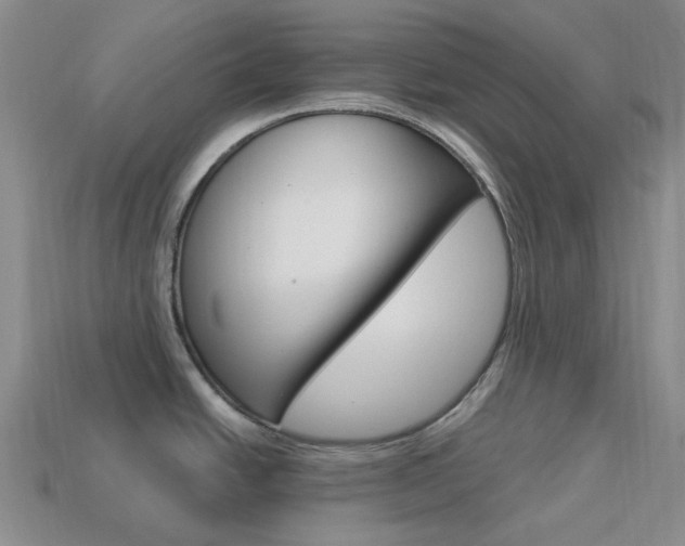 X0000114101438200910051221