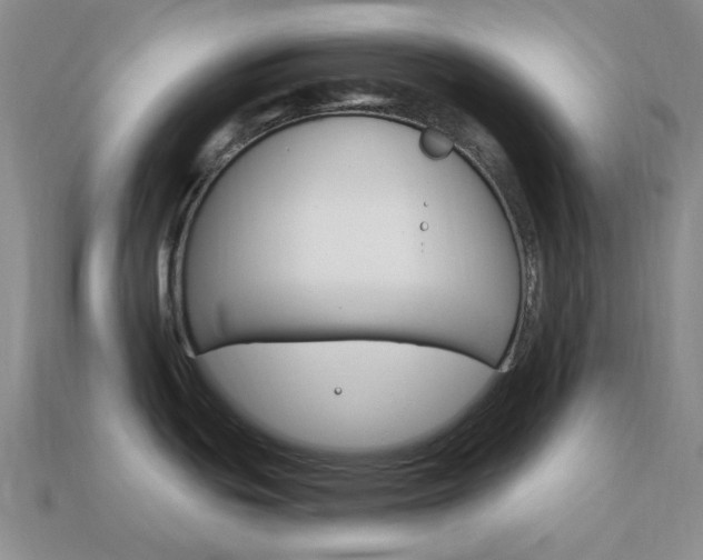X0000114101439200910051221