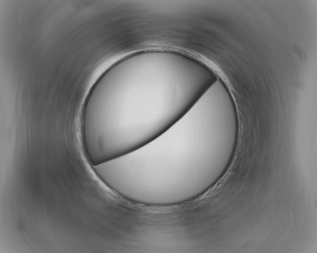 X0000114101440200910051221