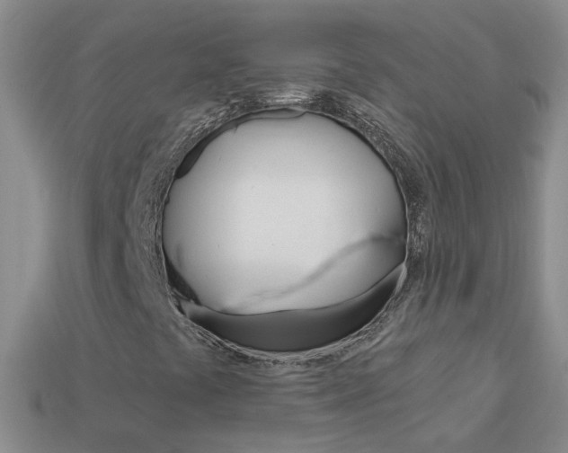 X0000114101441200910051221