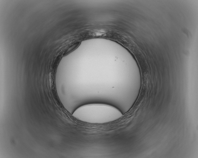 X0000114101442200910051221
