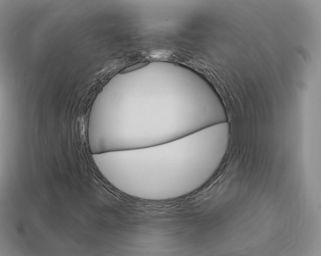 X0000114101443200910051221
