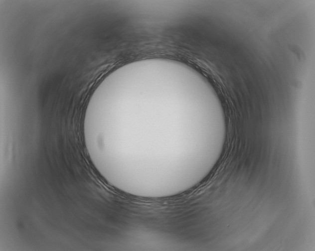 X0000114101444200910051221