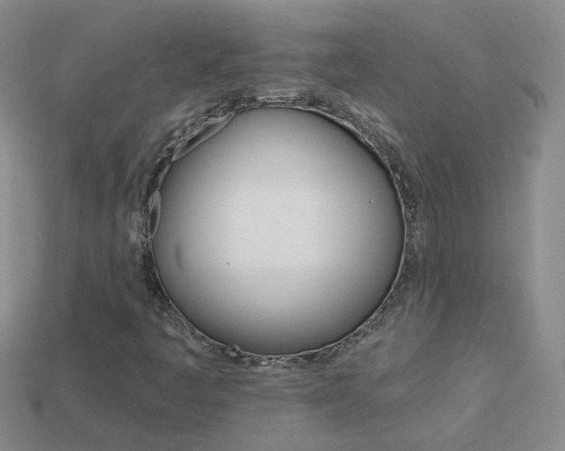 X0000114101445200910051221