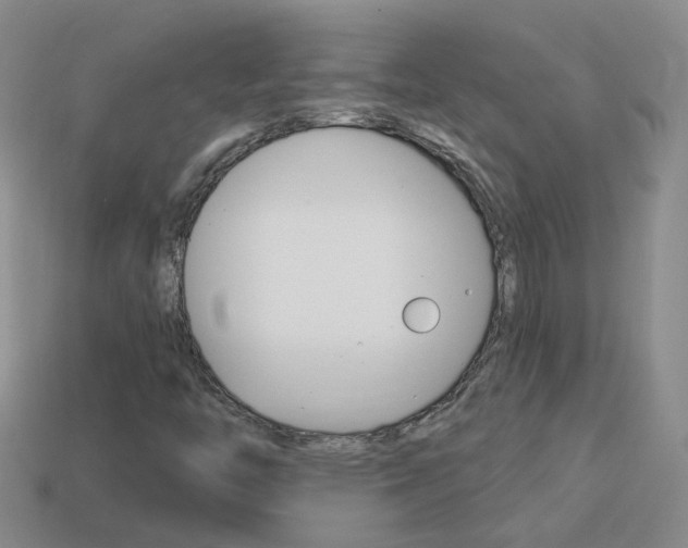 X0000114101446200910051221