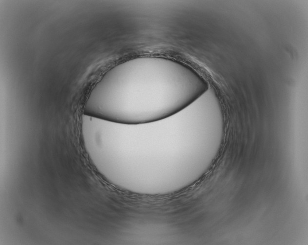 X0000114101447200910051221