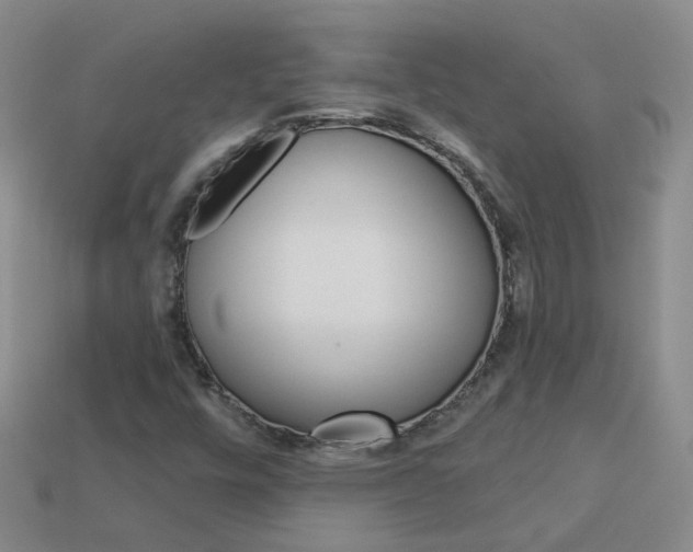 X0000114101448200910051221