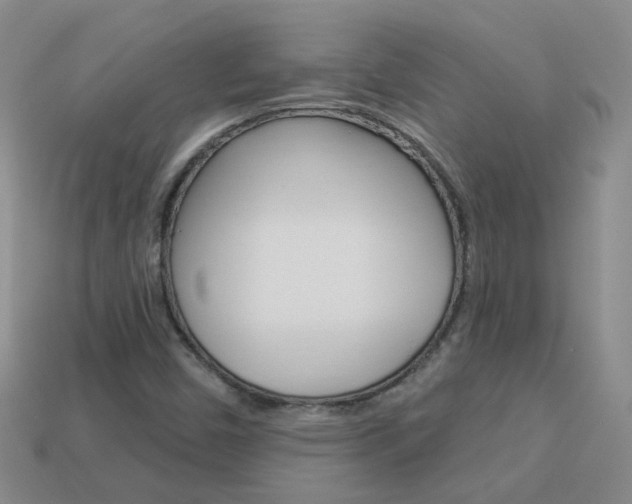 X0000114101450200910051221